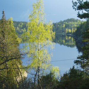 image_01